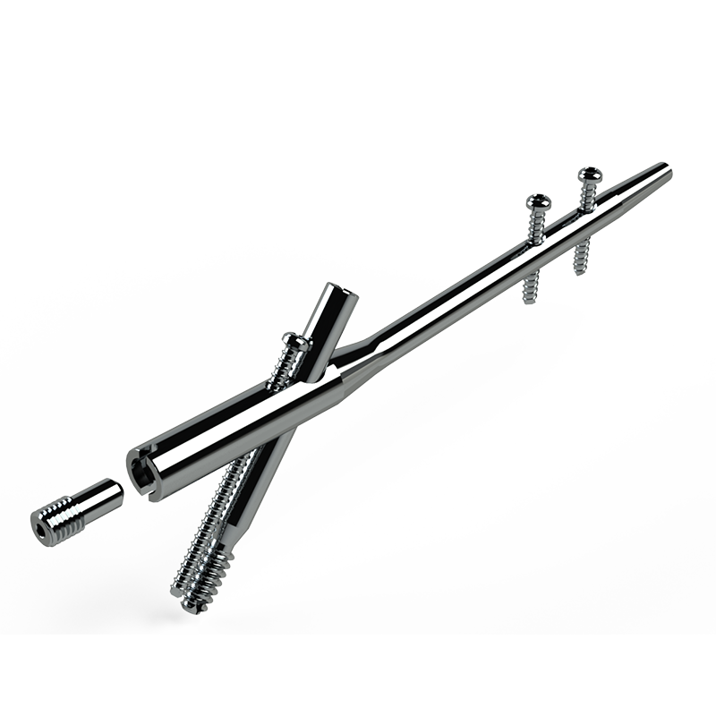 Haste Intramedular Bloqueada