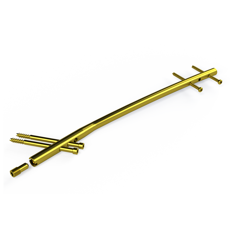 Haste Intramedular Bloqueada em Titânio